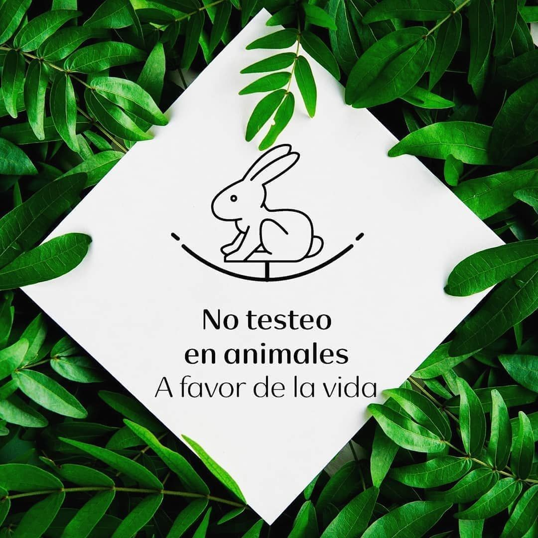 e3a5dbef25ed3cc74883aac4fe5f0689_1